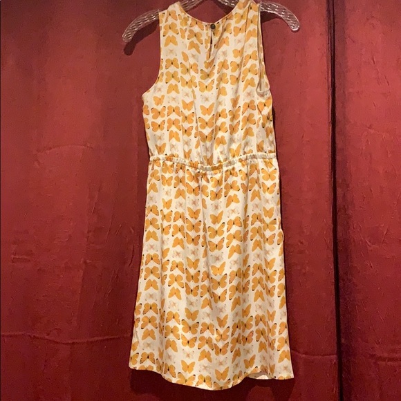 Shift Dress - Picture 2 of 2